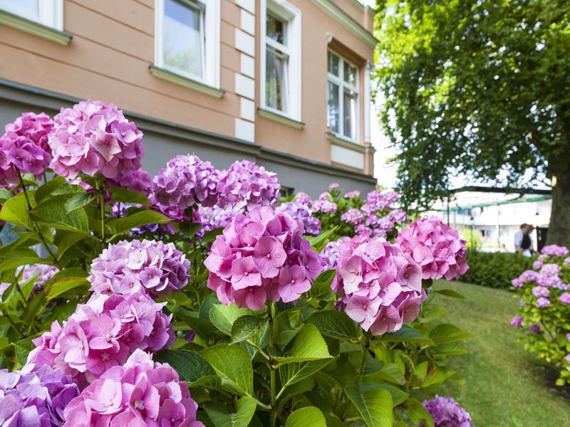 Ostseehotel Villen Im Park - Ein Rovell Hotel Херингсдорф Экстерьер фото
