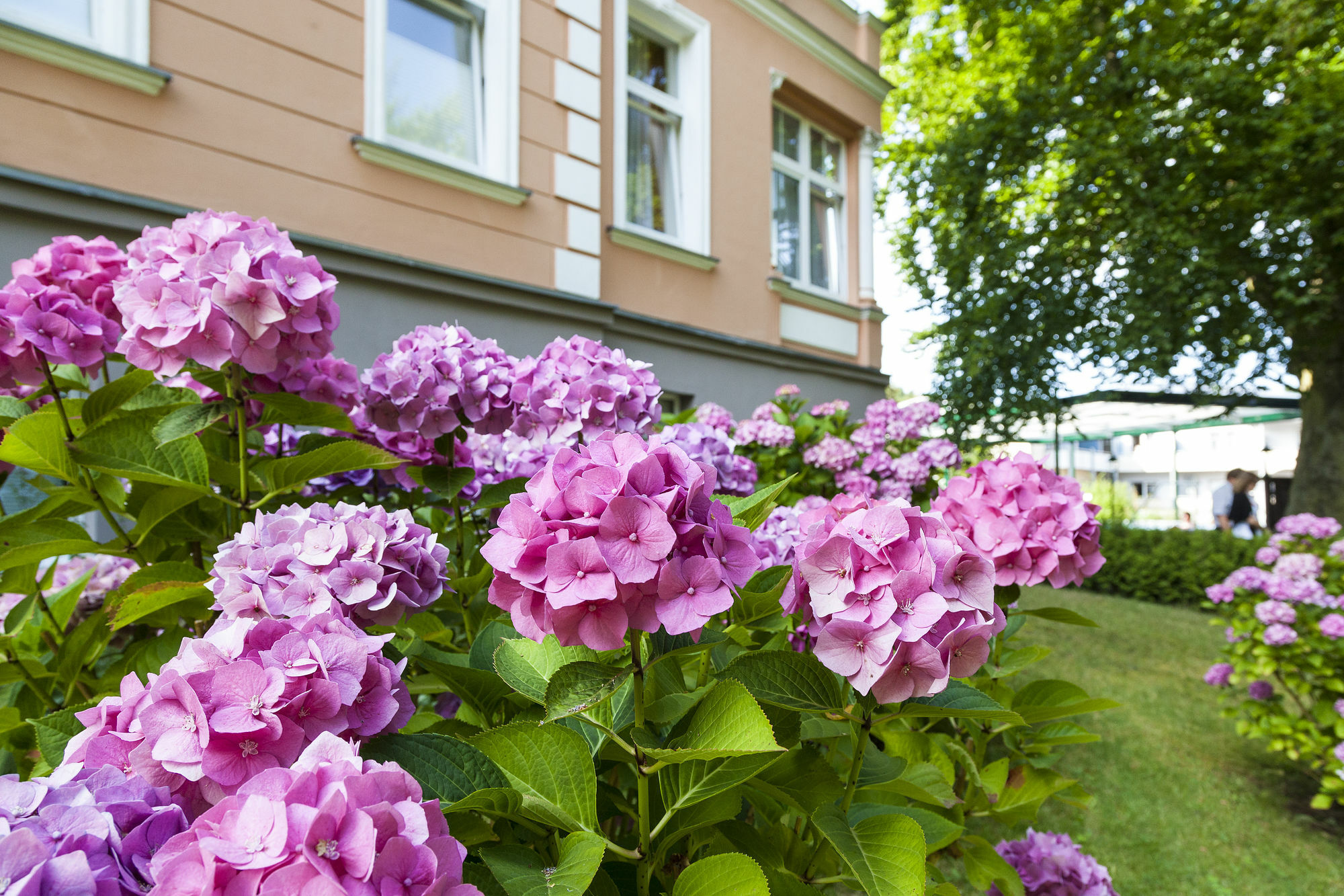Ostseehotel Villen Im Park - Ein Rovell Hotel Херингсдорф Экстерьер фото